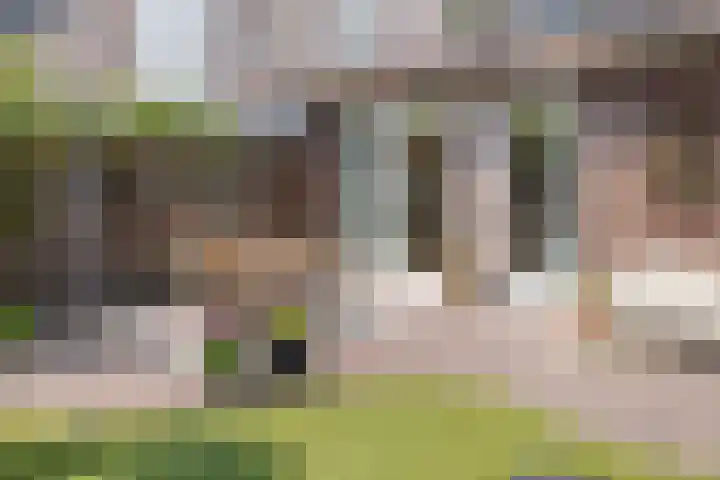 Goudveilstraat 18 Rosmalen thumbnail 37