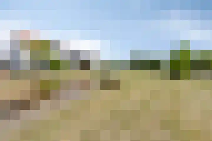 Goudveilstraat 18 Rosmalen thumbnail 44