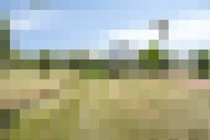 Goudveilstraat 18 Rosmalen thumbnail 46
