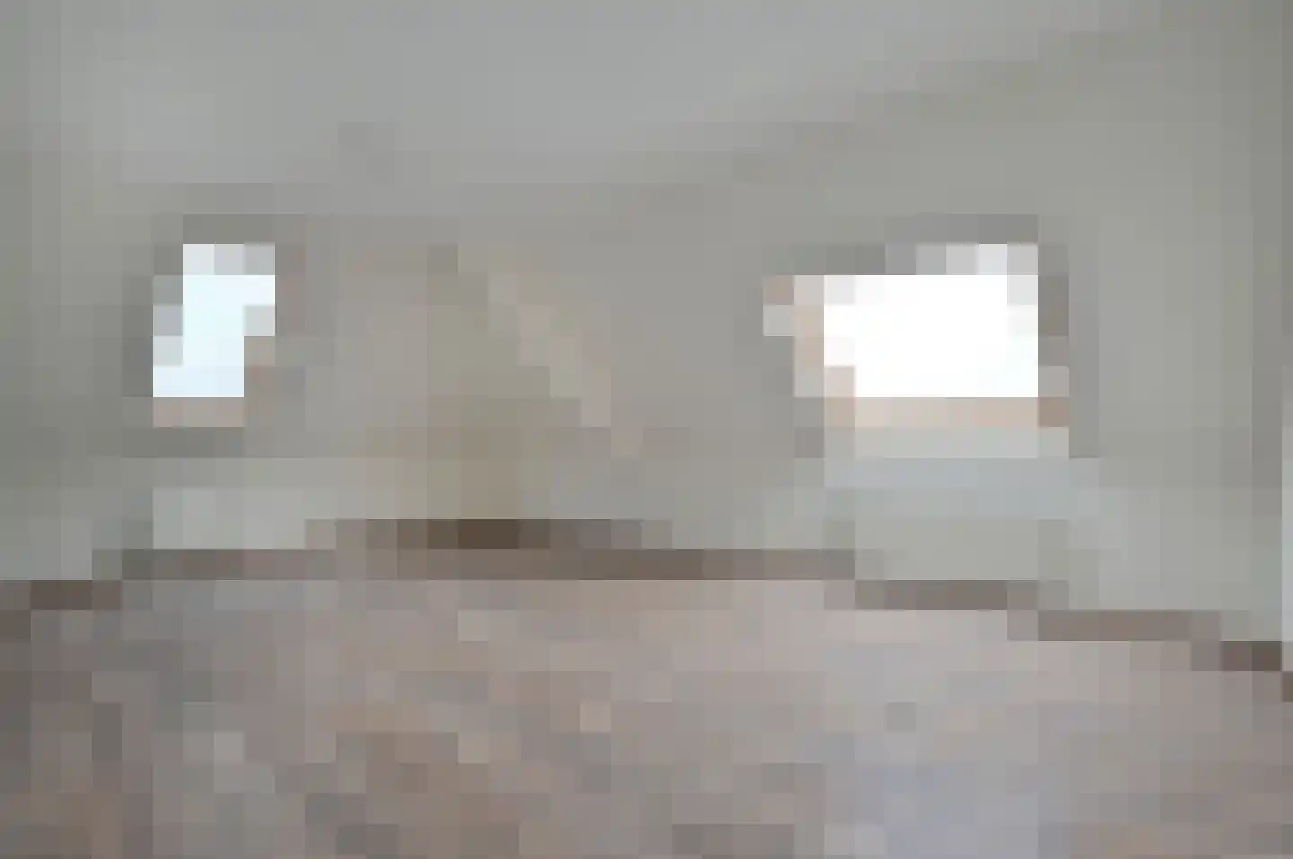 Goudvink 1 Soest thumbnail 15