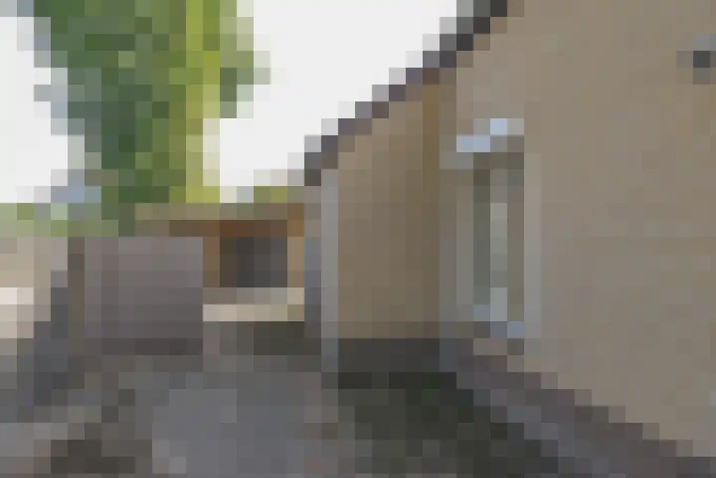 Goudvink 1 Soest thumbnail 22