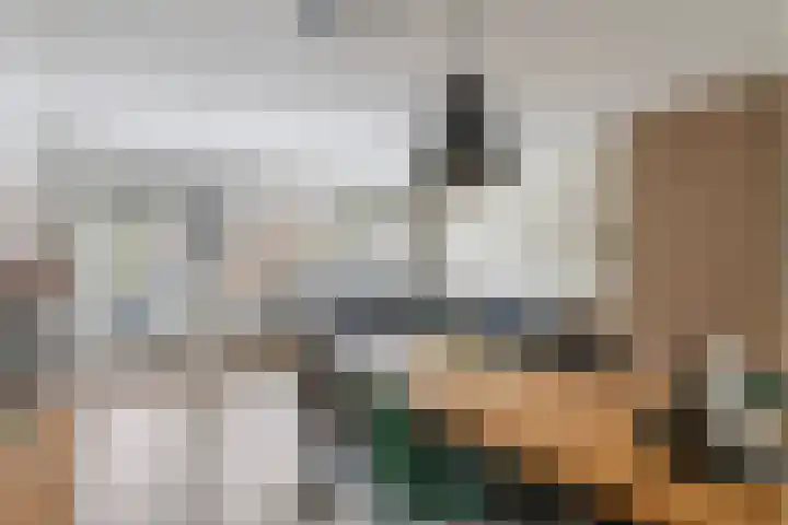 Goudvink 109 Veenendaal thumbnail 15