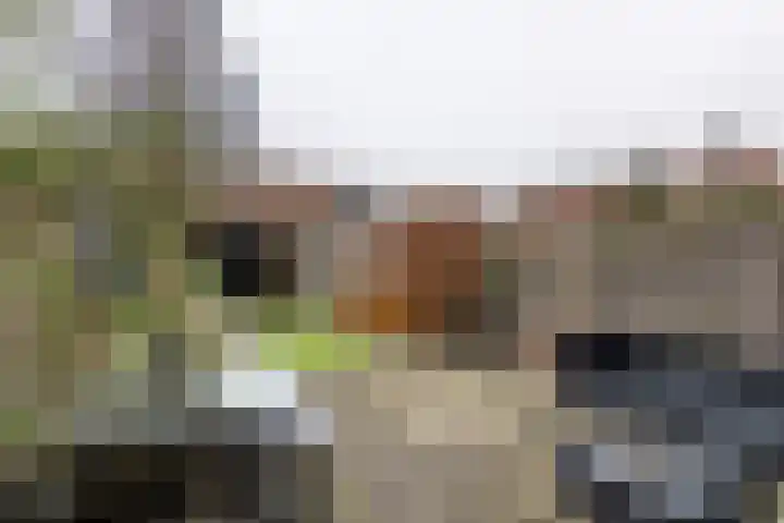 Goudvink 109 Veenendaal thumbnail 16
