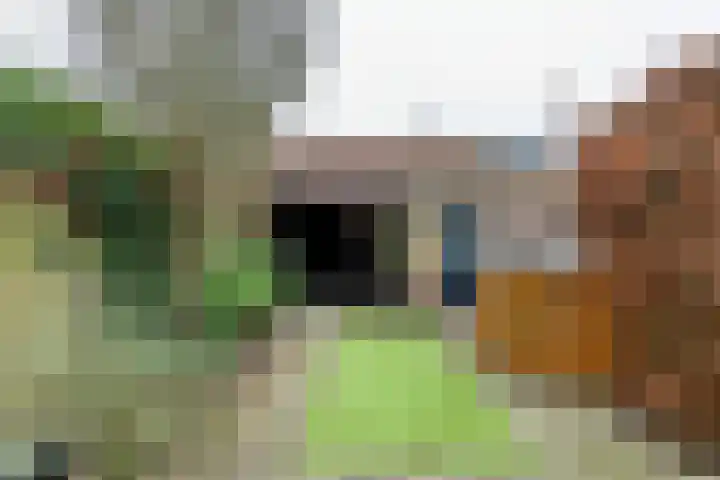 Goudvink 109 Veenendaal thumbnail 17