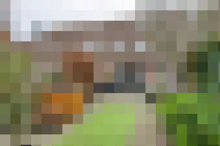 Goudvink 109 Veenendaal thumbnail 19