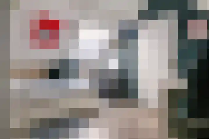 Goudvink 109 Veenendaal thumbnail 31