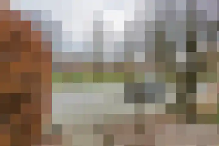 Goudvink 109 Veenendaal thumbnail 32