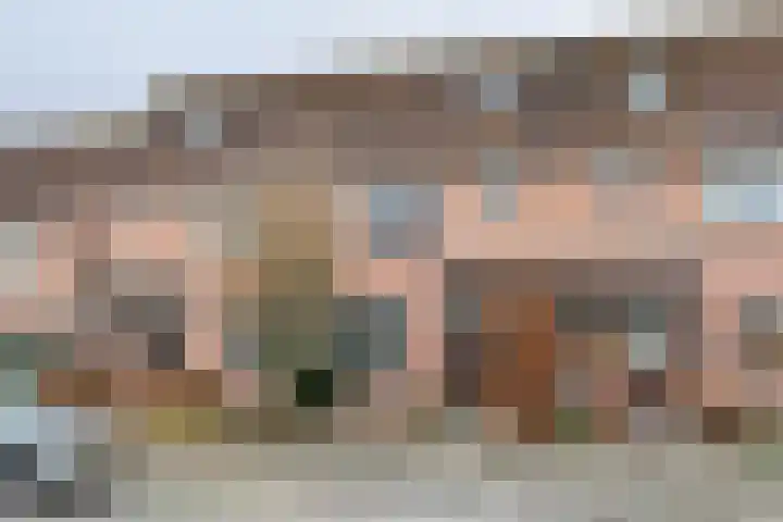 Goudvink 109 Veenendaal thumbnail 33