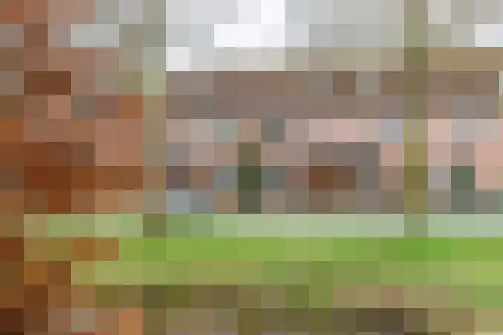 Goudvink 109 Veenendaal thumbnail 35