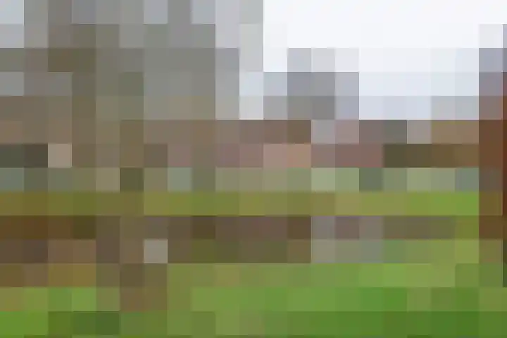 Goudvink 109 Veenendaal thumbnail 36