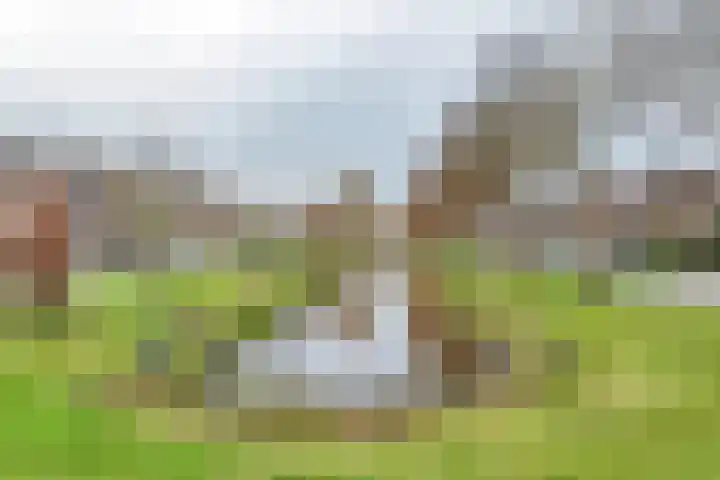 Goudvink 109 Veenendaal thumbnail 37