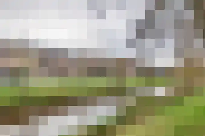 Goudvink 109 Veenendaal thumbnail 38