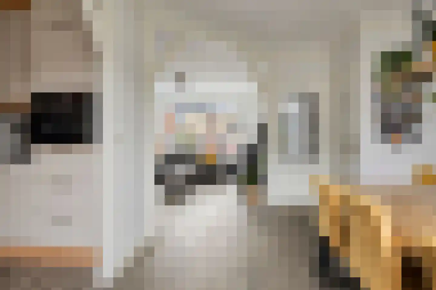 Goudvink 14 Bunschoten-Spakenburg thumbnail 8