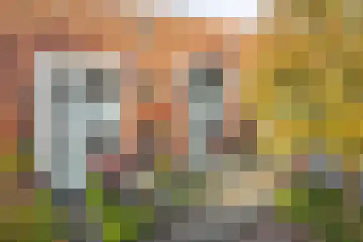 Goudvink 14 Olst