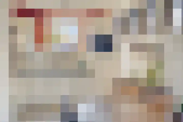 Goudvink 14 Olst thumbnail 11