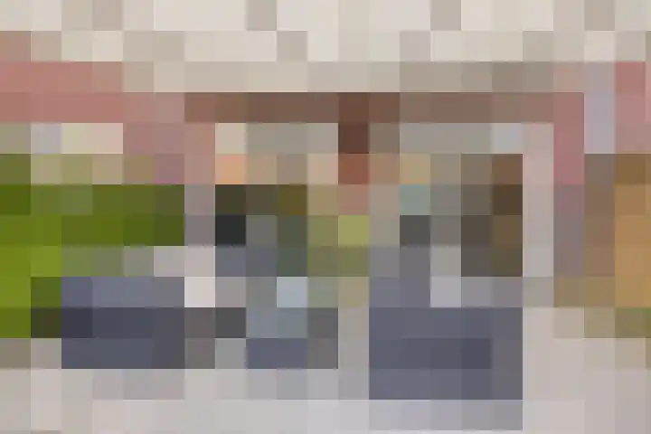 Goudvink 14 Olst thumbnail 27