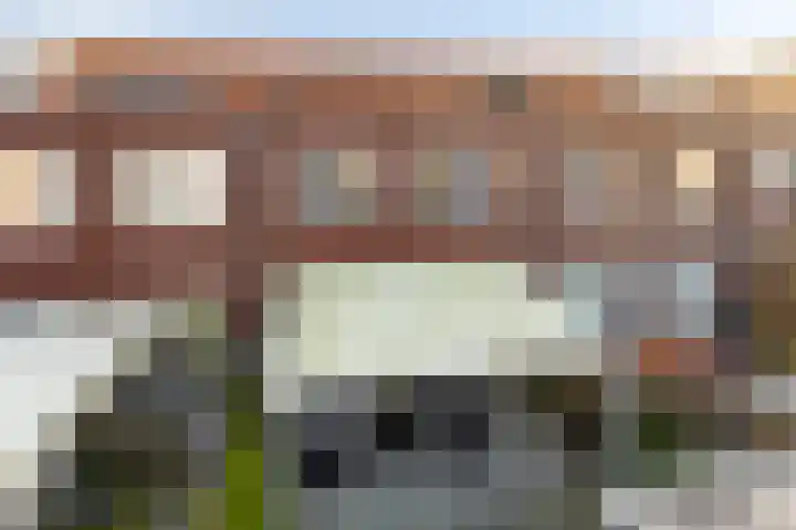 Goudvink 14 Olst thumbnail 30