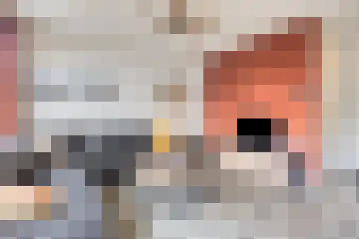 Goudvink 14 Olst thumbnail 7
