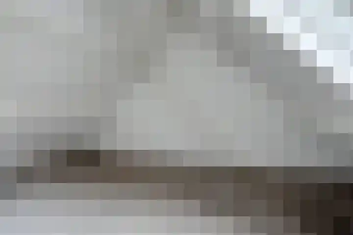 Goudvink 16 Veenendaal thumbnail 12
