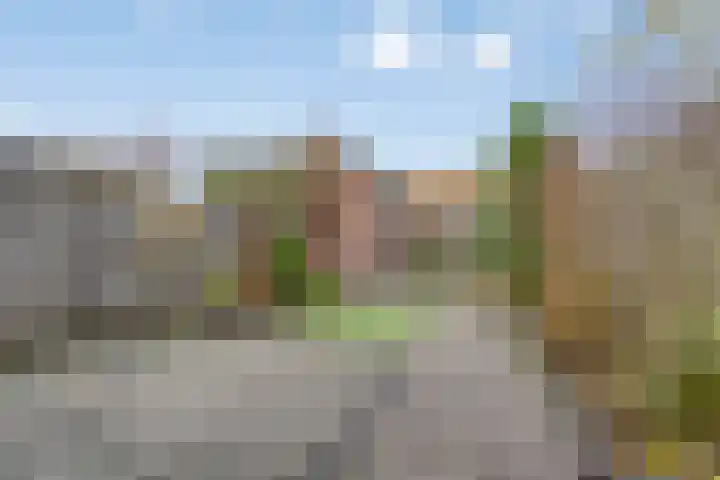 Goudvink 16 Veenendaal thumbnail 14
