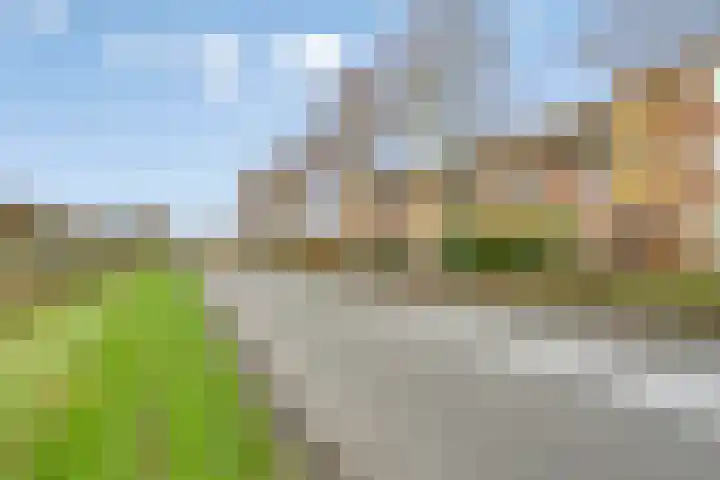 Goudvink 16 Veenendaal thumbnail 15