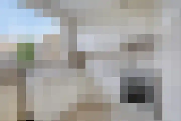 Goudvink 16 Veenendaal thumbnail 6