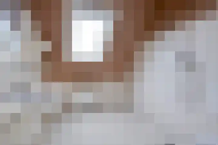 Goudvink 16 Veenendaal thumbnail 9
