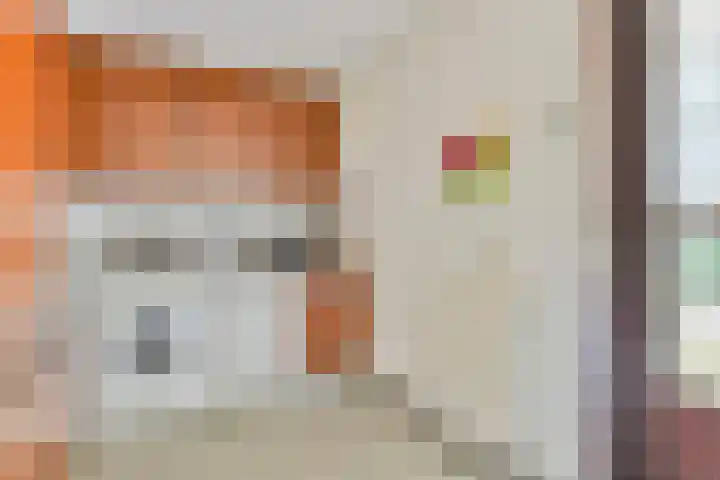 Goudvink 2 Brunssum thumbnail 10