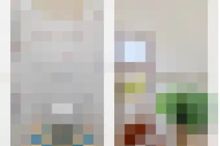 Goudvink 2 Brunssum thumbnail 12