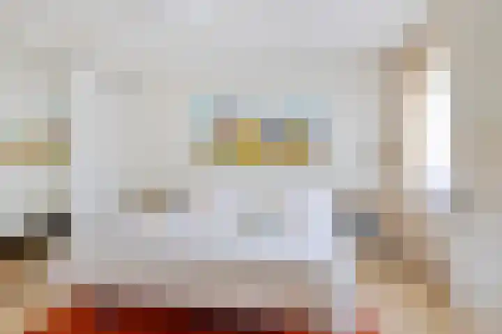 Goudvink 2 Brunssum thumbnail 13
