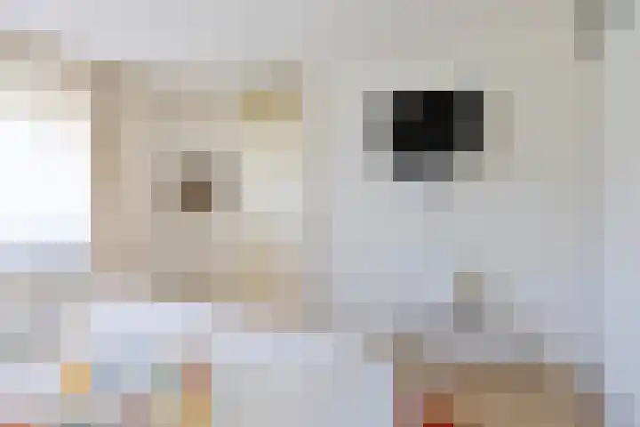 Goudvink 2 Brunssum thumbnail 14