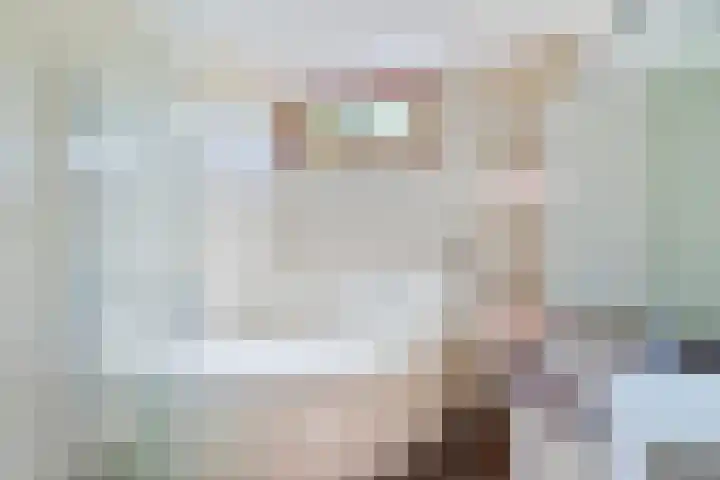 Goudvink 2 Brunssum thumbnail 15