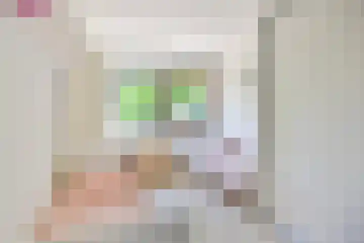 Goudvink 2 Brunssum thumbnail 17