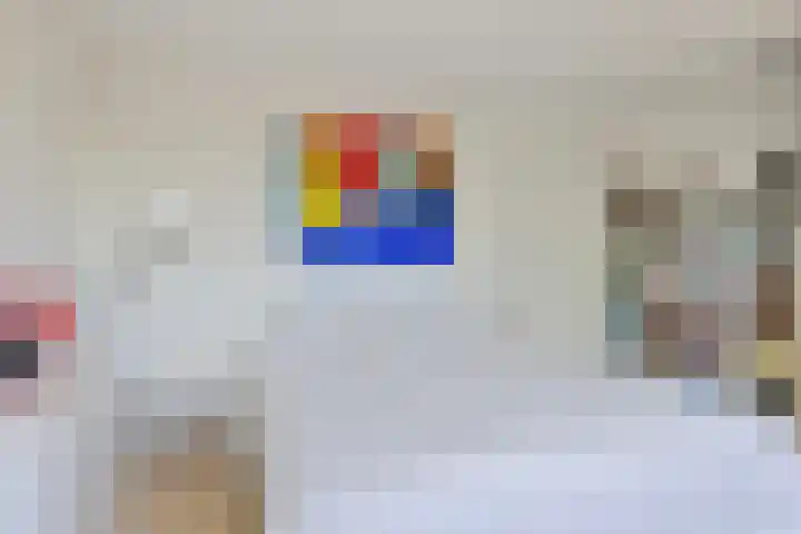 Goudvink 2 Brunssum thumbnail 22