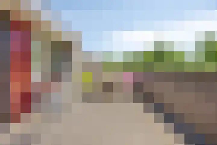 Goudvink 2 Brunssum thumbnail 23
