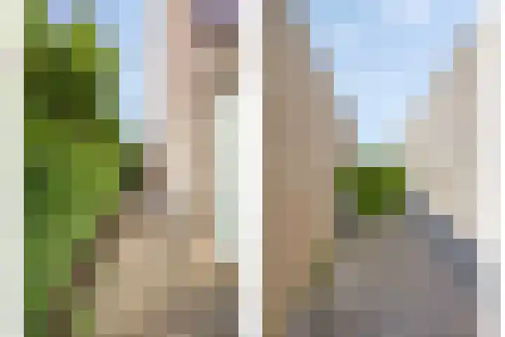 Goudvink 2 Brunssum thumbnail 24