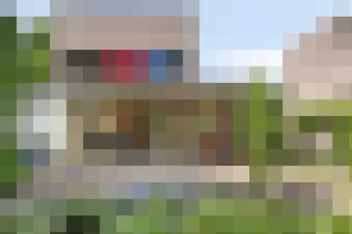 Goudvink 2 Brunssum thumbnail 30