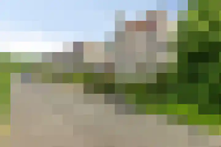 Goudvink 2 Brunssum thumbnail 31