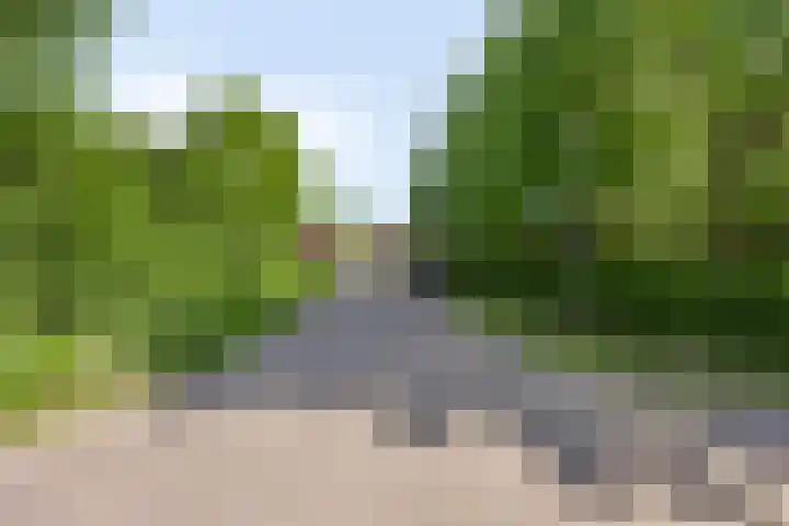 Goudvink 2 Brunssum thumbnail 32