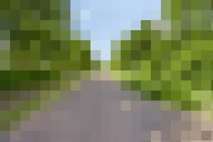 Goudvink 2 Brunssum thumbnail 33