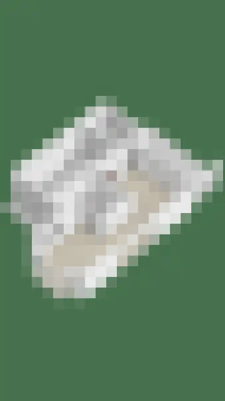 Goudvink 2 Brunssum thumbnail 38