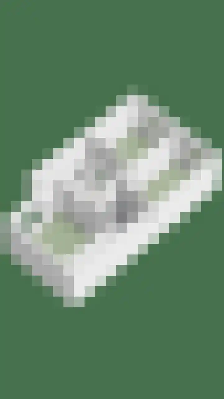 Goudvink 2 Brunssum thumbnail 39