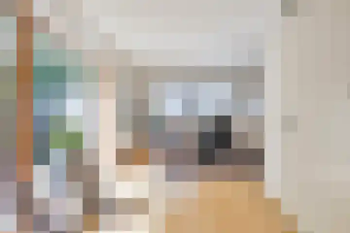 Goudvink 2 Brunssum thumbnail 4