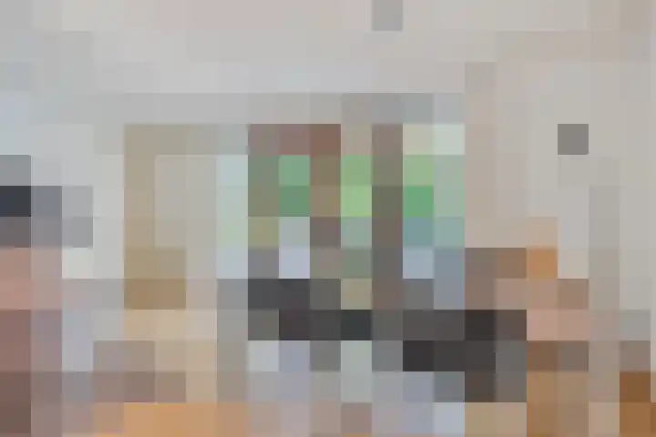Goudvink 2 Brunssum thumbnail 8