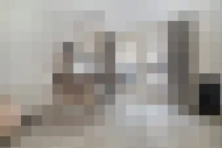Goudvink 2 Bunschoten-Spakenburg thumbnail 10