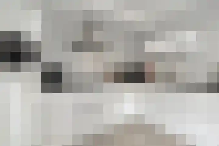 Goudvink 2 Bunschoten-Spakenburg thumbnail 12