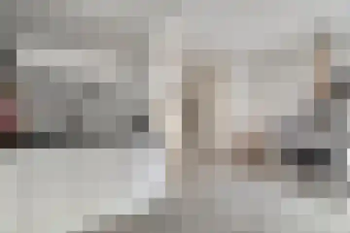 Goudvink 2 Bunschoten-Spakenburg thumbnail 13