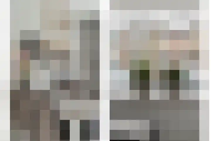 Goudvink 2 Bunschoten-Spakenburg thumbnail 15