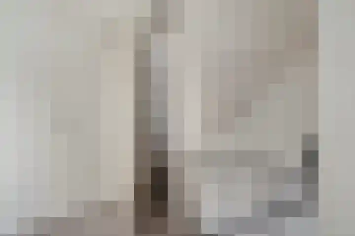 Goudvink 2 Bunschoten-Spakenburg thumbnail 16