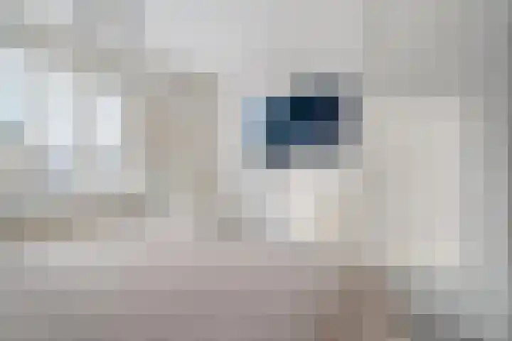 Goudvink 2 Bunschoten-Spakenburg thumbnail 18